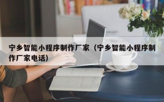 肇东宁乡智能小程序制作厂家（宁乡智能小程序制作厂家电话）