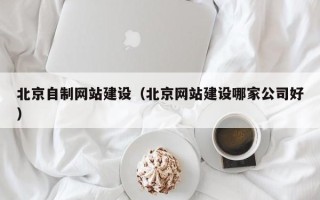肇东北京自制网站建设（北京网站建设哪家公司好）